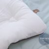 韓國棉被 刺繡泰迪熊厚款/薄款 四季被