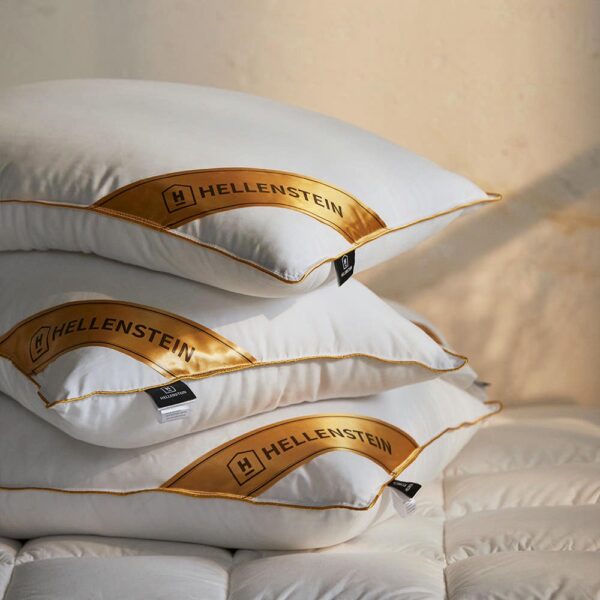 LINE_ALBUM_20251024_260226_40 韓國寢具 HELLENSTEIN 飯店羽絨枕頭